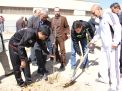 گزارش تصویری مراسم روز درخت کاری در دانشگاه  با حضور ورزشکاران ملی پوش شهرستان شاهرود  